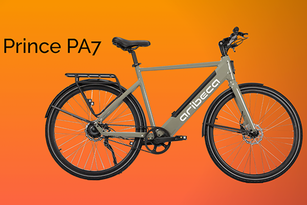 E-Bike Rental ARIBECA
