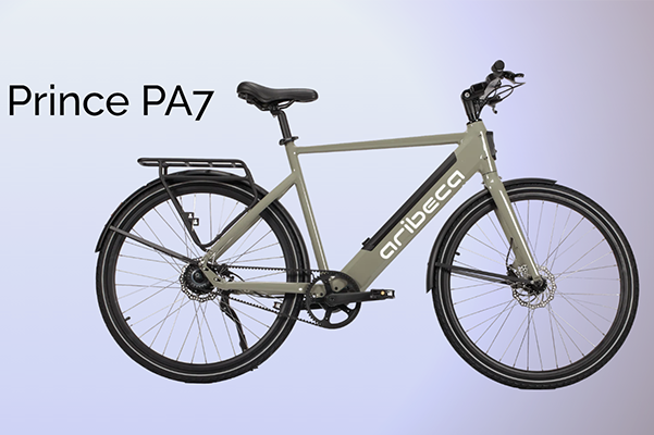E-Bike Rental ARIBECA