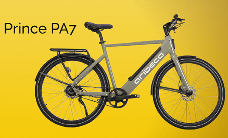 E-Bike Rental ARIBECA