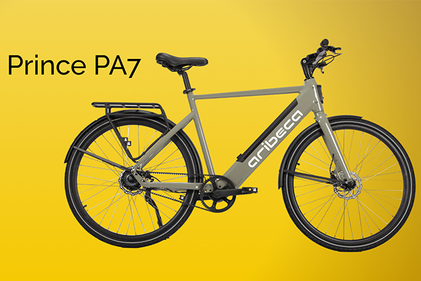 E-Bike Rental ARIBECA
